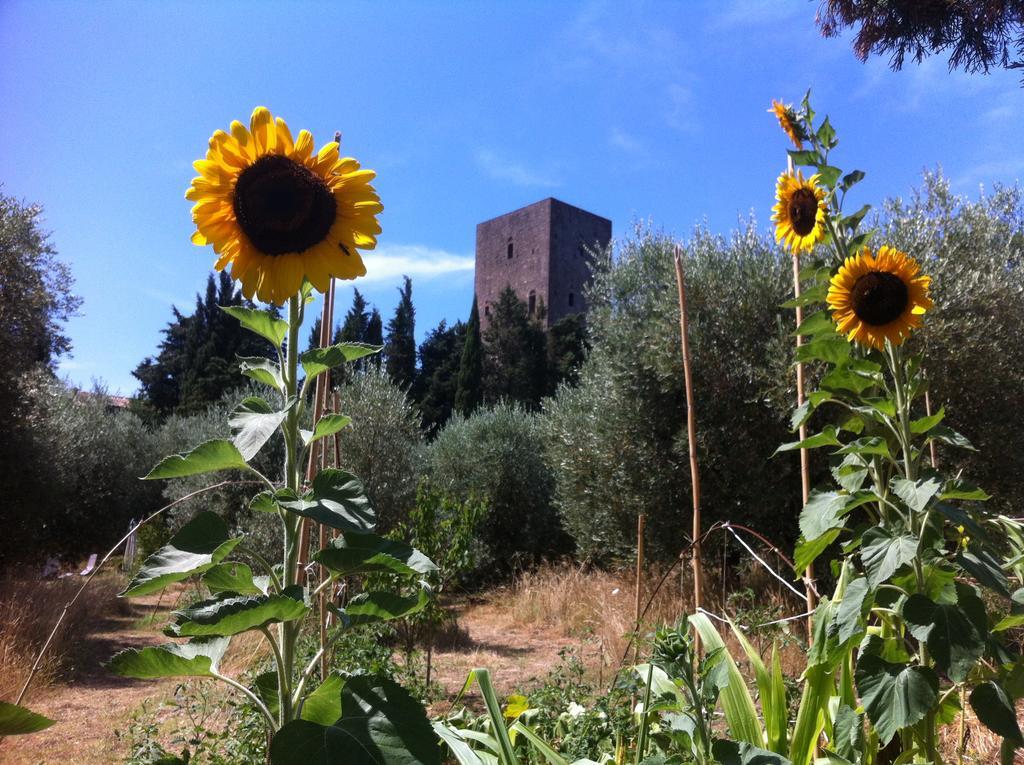 Torre Dei Belforti Монтекатіні-Валь-ді-Чечина Екстер'єр фото
